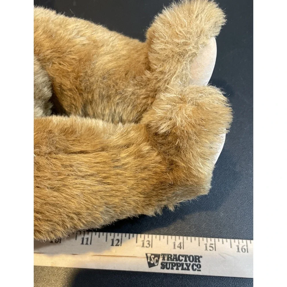 Vermont Teddy Bear 15